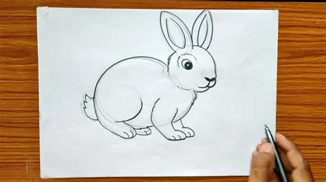Rabbit Pencil Drawing Easy