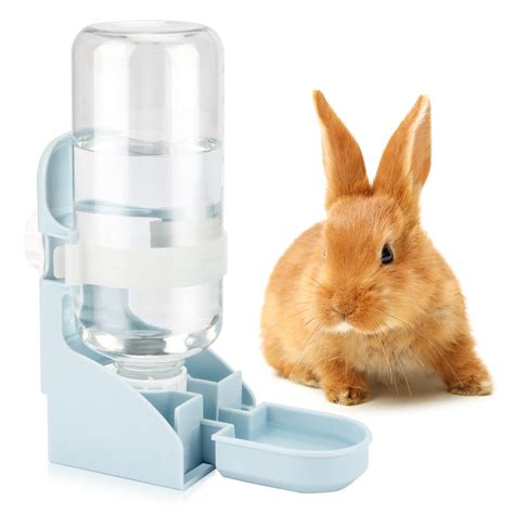 rabbit water bottle springs
