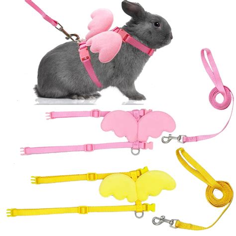 Rabbit Wear Collar