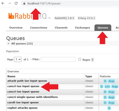 Rabbitmq Purge Queue Python