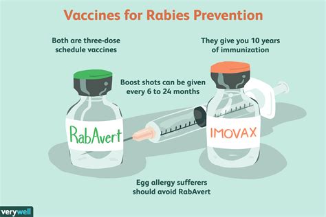 How Effective is the Rabies Shot in Humans Worldwide?