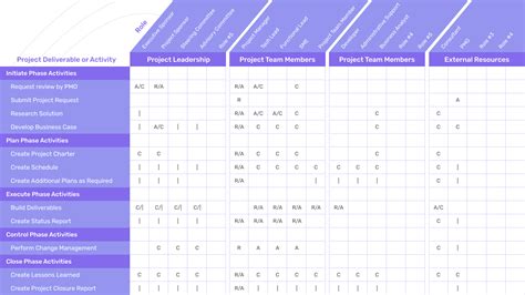 raci matrix example software development