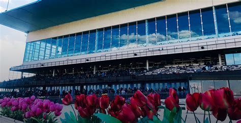 racing at aqueduct today