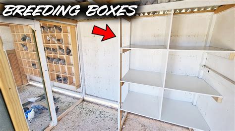 Racing Pigeon Breeding Boxes