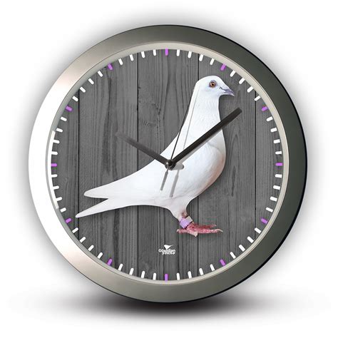 Racing Pigeons Clock