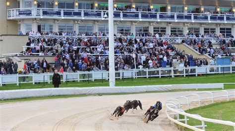 racing post greyhound betting site