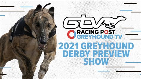 racing post greyhound television