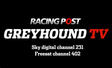 racing post greyhound tv channel