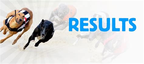 racing post greyhounds results today