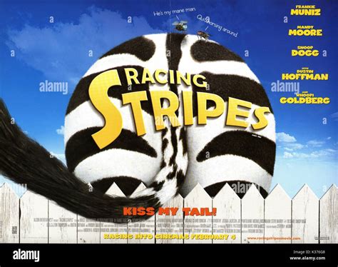 Racing Stripes