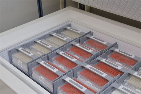 Rack Freezer Storage