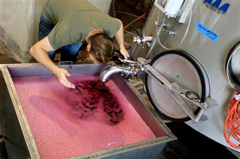 Racking In Wine Making