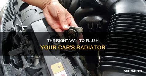 Radiator Flush Simple