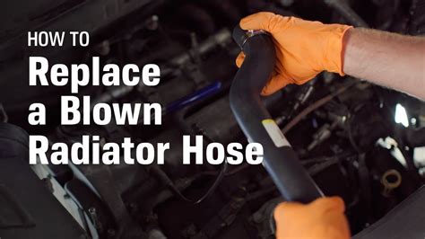Radiator Hose Help