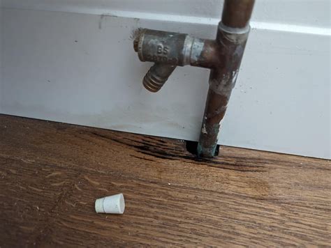 Radiator Leaking From Drain Plug Leaked Update Files & Photos 2026 #9bd