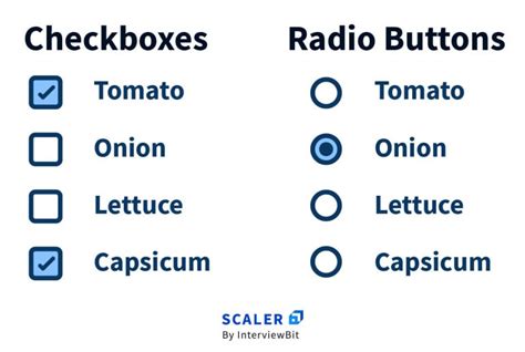 Radio Buttons And Checkboxes In Html