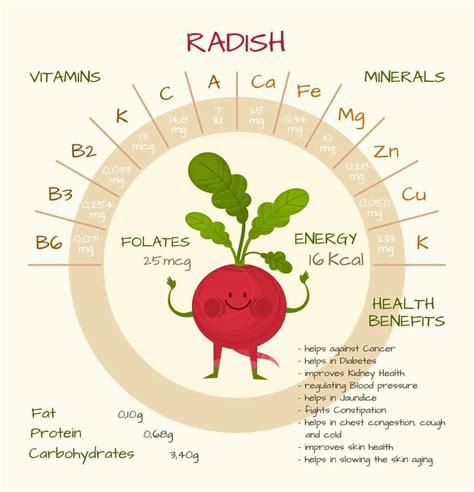 Radish Carbohydrate Content