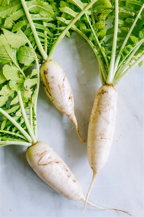 Radish Image
