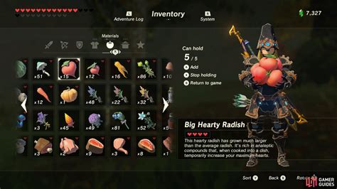 Radish Recipes Botw