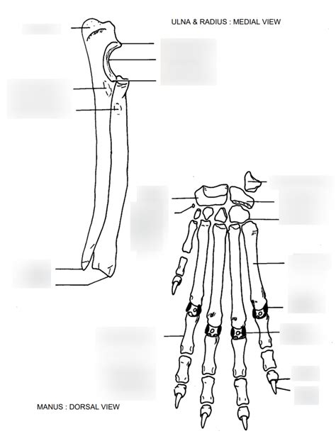 Radius Insertion Points