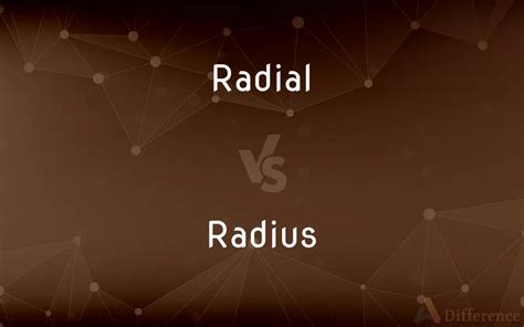 Radius Vs Radial
