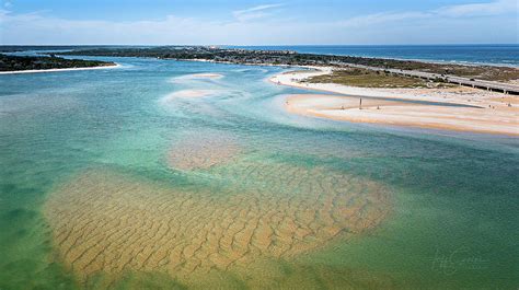 raft spotted matanzas inlet area