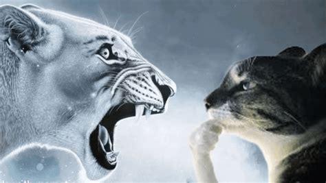 Rage Bait Monkey Meme