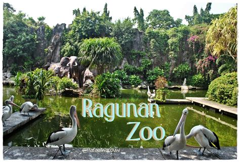 ragunan zoo