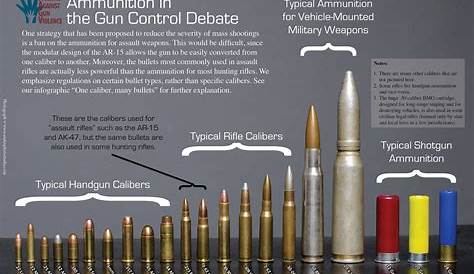 Railgun Bullet Size Pin On Military Literacy