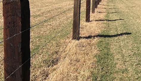 Railroad ties for fence posts!? Why not! 😁 railroadties 