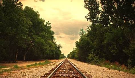 Railroad Tracks Images Train Free Stock Photo Track On A Fall