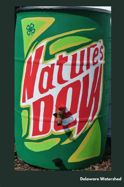 Rain Barrel Delaware