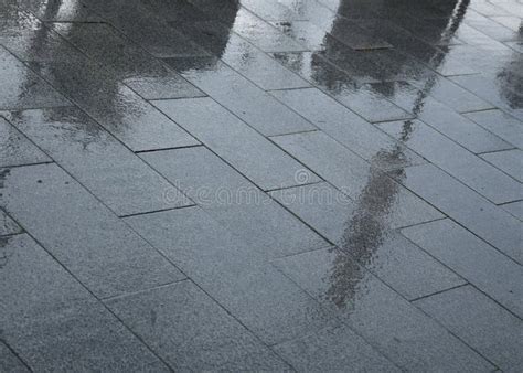 Rain droplets on pavement