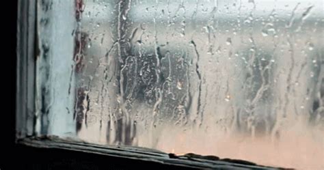 Rain On Window Gif
