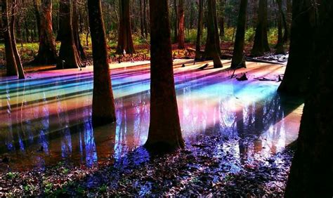 rainbow lake in middle of forest