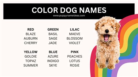 Rainbow Pet Names