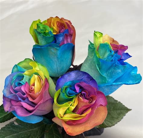 Rainbow Roses: The Surprising Symbol of Modern Love