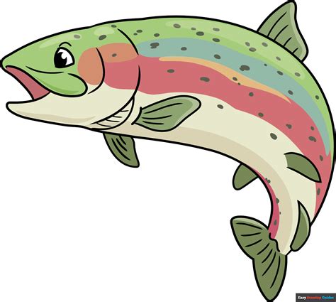 Rainbow Trout Drawing