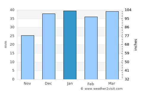 rainfall in alice springs january