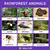 rainforest animals facts and pictures