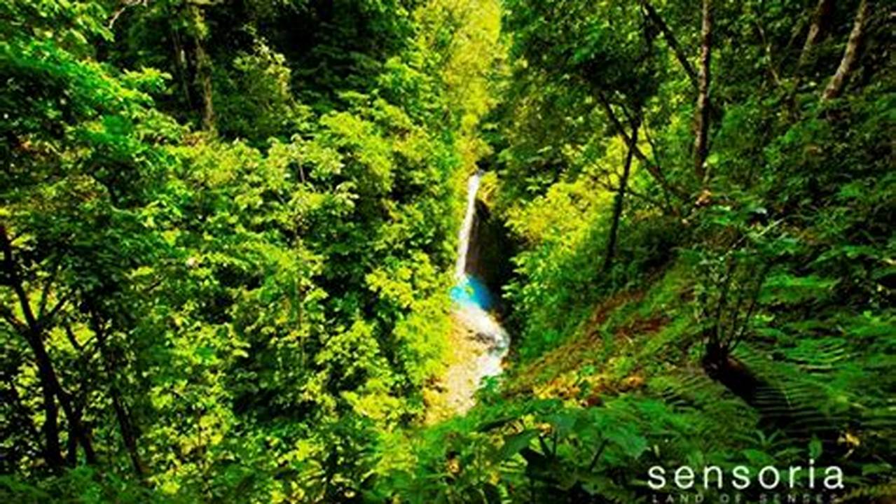 Uncover the Enchanting Rainforests of Guanacaste, Costa Rica: A Nature Lover's Guide