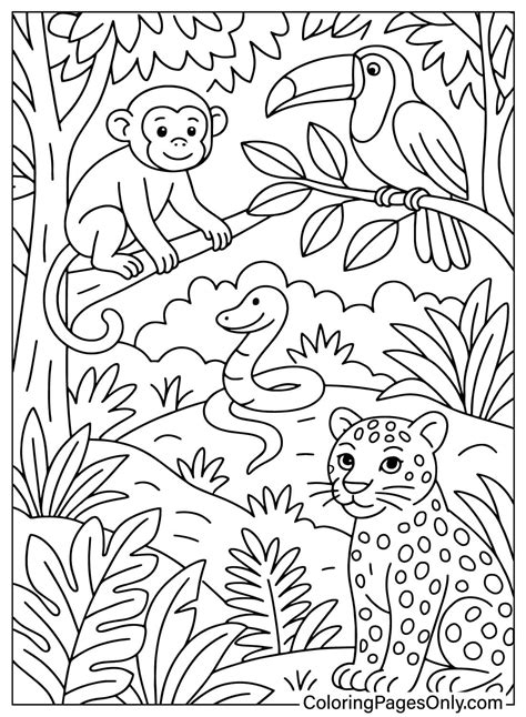 Rainforest Background Coloring Page