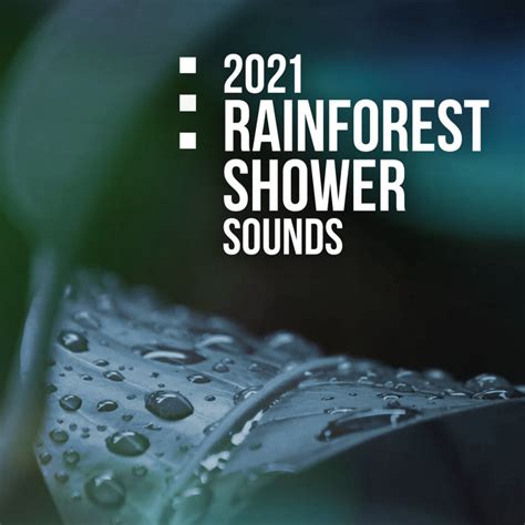 Rainforest Shower Sounds