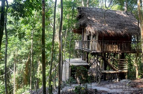 rainforest tree house kulai
