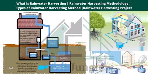 Rainwater Harvesting System Case Study
