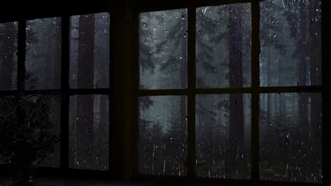 Rainy Night Window