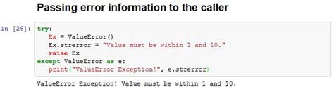 raise exception with error code python