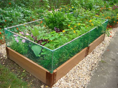love the design and little fencing added to this one... Raised garden beds