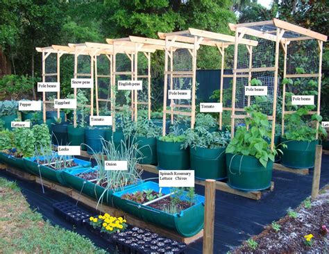 Container Gardening Ideas & Expert Advice Container Vegetable