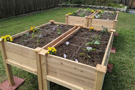 Raised Garden Bed Plan Diy: Tips, Tricks, And Techniques For This Year